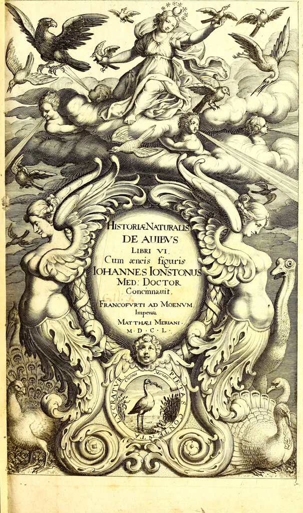 An illustration from Historiae naturalis de quadrupetibus libri : cum aeneis figuris; [Historiae naturalis de serpentibus libri II ; Historiae naturalis de insectis libri III ; Historiae naturalis de exanguibus aquaticis libri IV ; Historiae naturalis de piscibus et cetis libri V ; Historiae naturalis de avibus libri VI], 1650, leaf 6