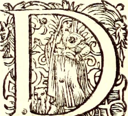 An illustration from Historiae naturalis de quadrupetibus libri : cum aeneis figuris; [Historiae naturalis de serpentibus libri II ; Historiae naturalis de insectis libri III ; Historiae naturalis de exanguibus aquaticis libri IV ; Historiae naturalis de piscibus et cetis libri V ; Historiae naturalis de avibus libri VI], 1650, leaf 13