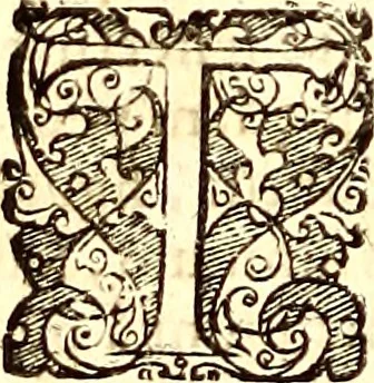 An illustration from Historiae naturalis de quadrupetibus libri : cum aeneis figuris; [Historiae naturalis de serpentibus libri II ; Historiae naturalis de insectis libri III ; Historiae naturalis de exanguibus aquaticis libri IV ; Historiae naturalis de piscibus et cetis libri V ; Historiae naturalis de avibus libri VI], 1650, leaf 151