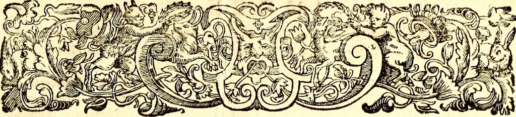 An illustration from Historiae naturalis de quadrupetibus libri : cum aeneis figuris; [Historiae naturalis de serpentibus libri II ; Historiae naturalis de insectis libri III ; Historiae naturalis de exanguibus aquaticis libri IV ; Historiae naturalis de piscibus et cetis libri V ; Historiae naturalis de avibus libri VI], 1650, leaf 324