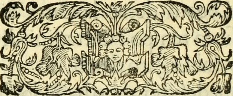 An illustration from Historia fiorentina, 1581, leaf 311