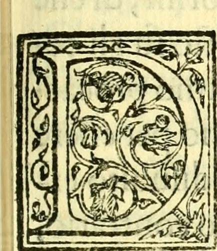 An illustration from Historia fiorentina, 1581, leaf 422