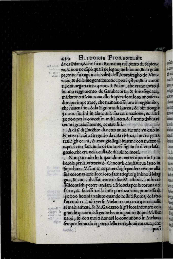 An illustration from Historia fiorentina, 1580, leaf 530