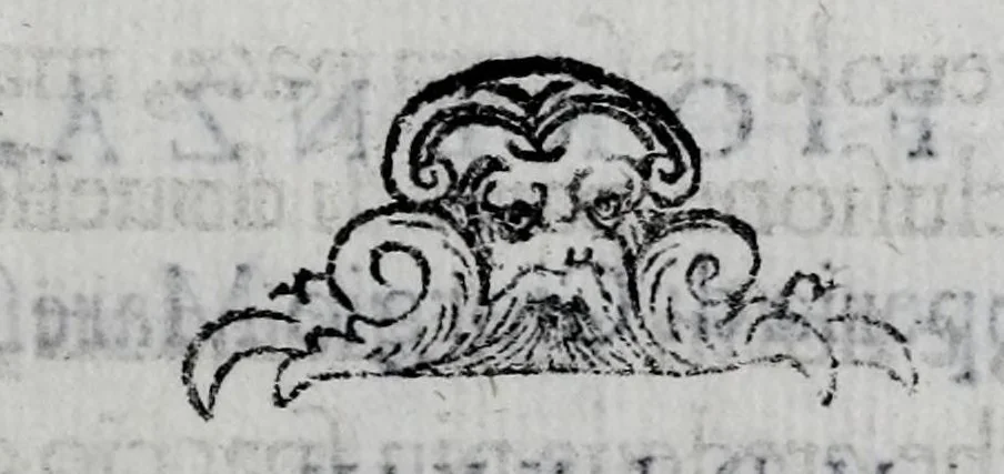 An illustration from Historia fiorentina, 1580, leaf 955