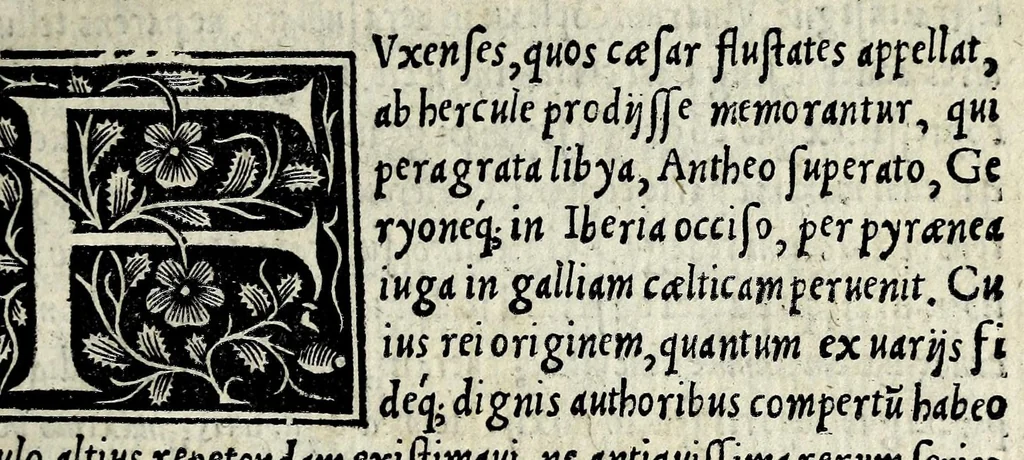 An illustration from Historia fvxensivm comitvm, Bertrandi Helie Appamiensis ivrisconsvlti, in qvatvor libros distincta : eiusdem de regni Nauarrae origine, & regibus qui in ea ad haec usq[ue] tempora regnarunt, circa finem ; subinde rogo te lector, ut loco Francisci Carolum legas, quotiẽs de fratre Henrici regis Nauarrae mentio inciderit, 1540, leaf 21