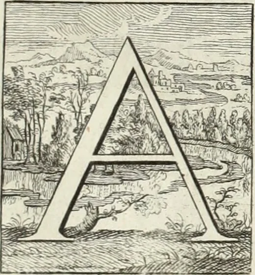 An illustration from Historia genealogica da casa real portugueza : desde a sua origem até o presente, com as familias illustres, que precedem dos reys, e dos serenissimos duques de Bragança ..., 1735, leaf 26