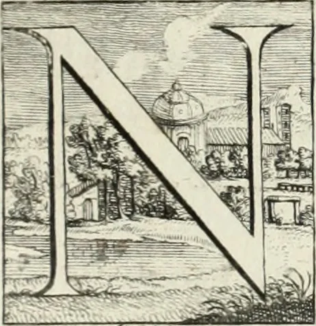 An illustration from Historia genealogica da casa real portugueza : desde a sua origem até o presente, com as familias illustres, que precedem dos reys, e dos serenissimos duques de Bragança ..., 1735, leaf 338