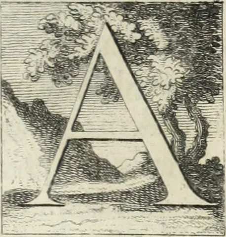 An illustration from Historia genealogica da casa real portugueza : desde a sua origem até o presente, com as familias illustres, que precedem dos reys, e dos serenissimos duques de Bragança ..., 1735, leaf 348