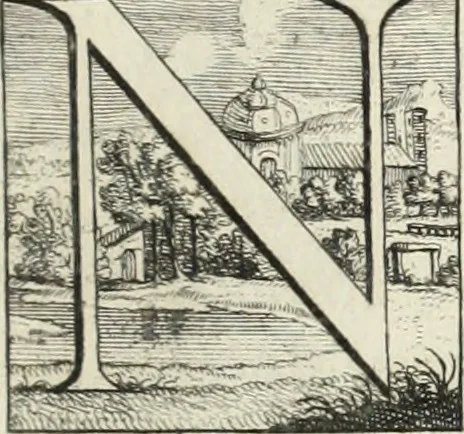 An illustration from Historia genealogica da casa real portugueza : desde a sua origem até o presente, com as familias illustres, que precedem dos reys, e dos serenissimos duques de Bragança ..., 1735, leaf 356