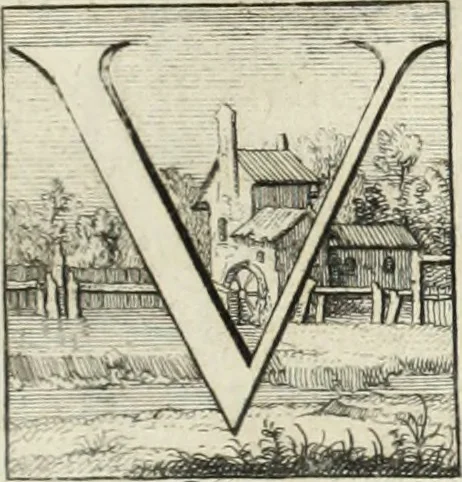 An illustration from Historia genealogica da casa real portugueza : desde a sua origem até o presente, com as familias illustres, que precedem dos reys, e dos serenissimos duques de Bragança ..., 1735, leaf 392