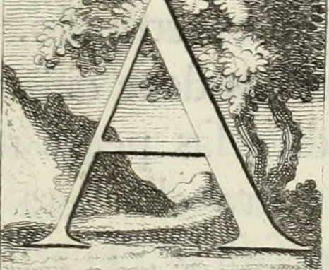 An illustration from Historia genealogica da casa real portugueza : desde a sua origem até o presente, com as familias illustres, que precedem dos reys, e dos serenissimos duques de Bragança ..., 1735, leaf 668
