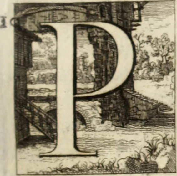 An illustration from Historia genealogica da casa real portugueza : desde a sua origem até o presente, com as familias illustres, que precedem dos reys, e dos serenissimos duques de Bragança ..., 1735, leaf 126