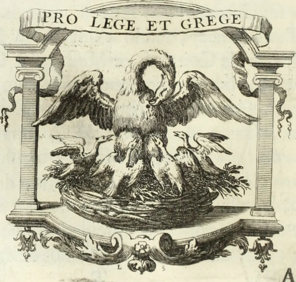 An illustration from Historia genealogica da casa real portugueza : desde a sua origem até o presente, com as familias illustres, que precedem dos reys, e dos serenissimos duques de Bragança ..., 1735, leaf 169