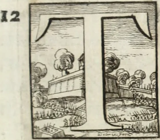 An illustration from Historia genealogica da casa real portugueza : desde a sua origem até o presente, com as familias illustres, que precedem dos reys, e dos serenissimos duques de Bragança ..., 1735, leaf 188