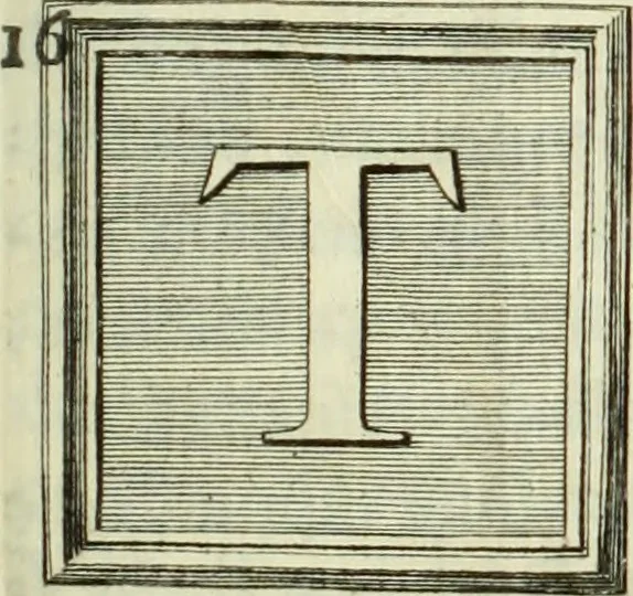 An illustration from Historia genealogica da casa real portugueza : desde a sua origem até o presente, com as familias illustres, que precedem dos reys, e dos serenissimos duques de Bragança, 1735, leaf 22