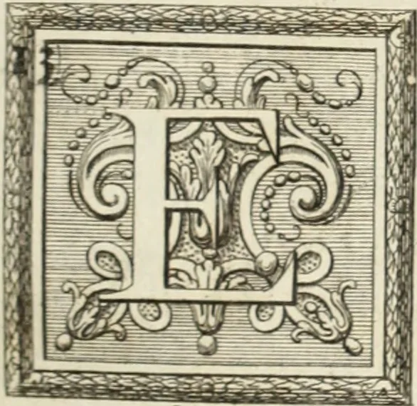 An illustration from Historia genealogica da casa real portugueza : desde a sua origem até o presente, com as familias illustres, que precedem dos reys, e dos serenissimos duques de Bragança, 1735, leaf 462