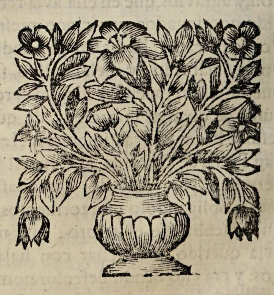 An illustration from Historia general de las conquistas del Nuevo Reyno de Granada a la S.C.R.M. de D. Carlos segvndo, rey de las espanas, y de las indias, 1688, leaf 226
