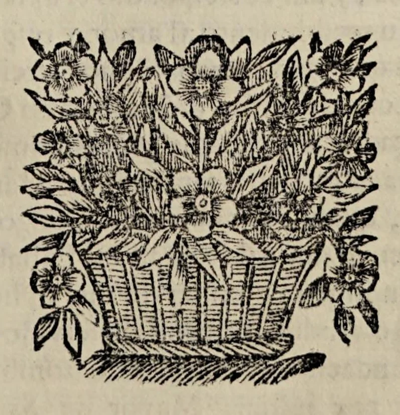 An illustration from Historia general de las conquistas del Nuevo Reyno de Granada a la S.C.R.M. de D. Carlos segvndo, rey de las espanas, y de las indias, 1688, leaf 509