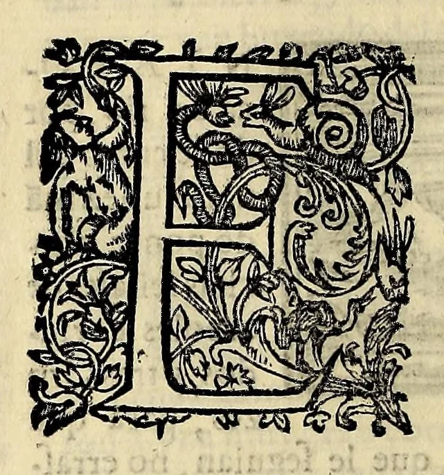 An illustration from Historia general de los hechos de los castellanos en las islas i Tierra Firme del Mar Oceano, 1601, leaf 176