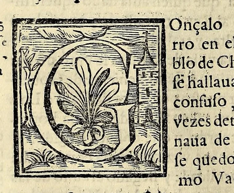An illustration from Historia general de los hechos de los castellanos en las islas i Tierra Firme del Mar Oceano, 1601, leaf 208