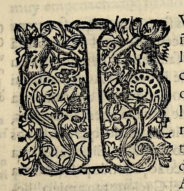 An illustration from Historia general de los hechos de los castellanos en las islas i Tierra Firme del Mar Oceano, 1601, leaf 31