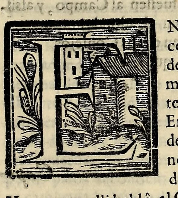 An illustration from Historia general de los hechos de los castellanos en las islas i Tierra Firme del Mar Oceano, 1601, leaf 617