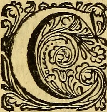 An illustration from Historia Gotthorum, Vandalorum, & Langobardorum, 1655, leaf 1027