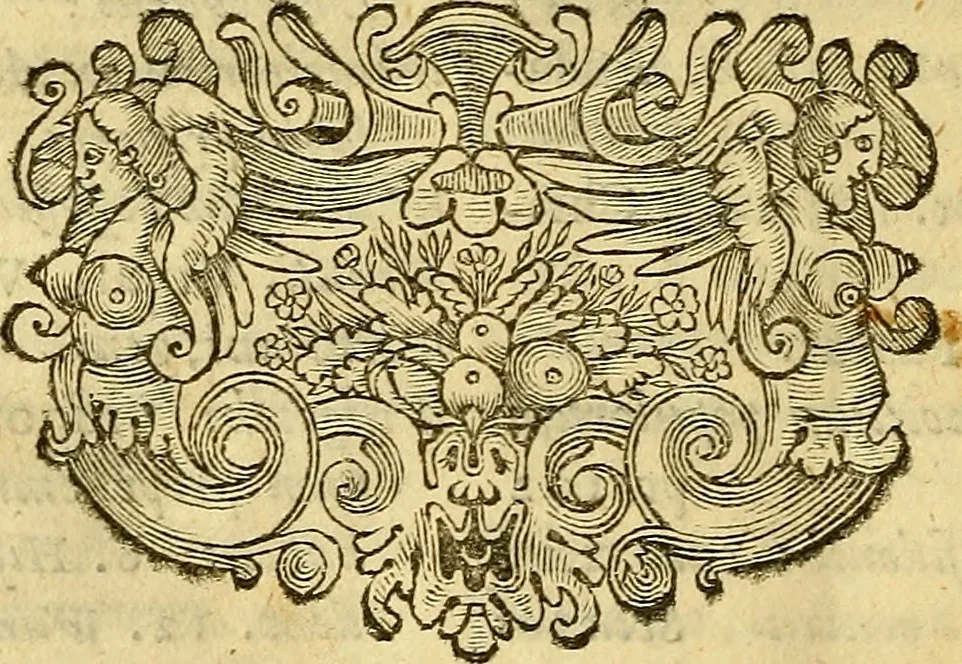 An illustration from Historia Gotthorum, Vandalorum, & Langobardorum, 1655, leaf 1195
