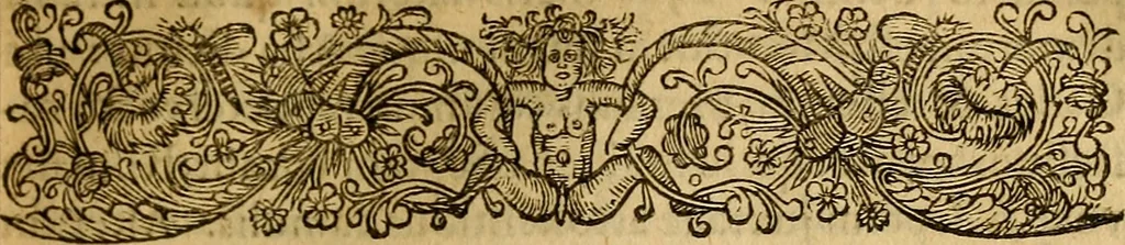 An illustration from Historia Gotthorum, Vandalorum, & Langobardorum, 1655, leaf 168