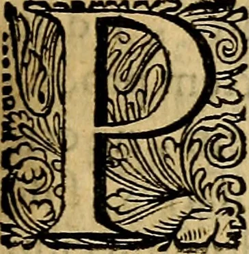 An illustration from Historia Gotthorum, Vandalorum, & Langobardorum, 1655, leaf 230