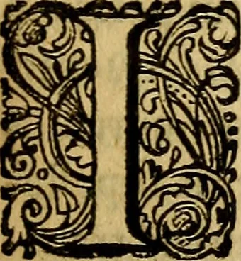 An illustration from Historia Gotthorum, Vandalorum, & Langobardorum, 1655, leaf 304