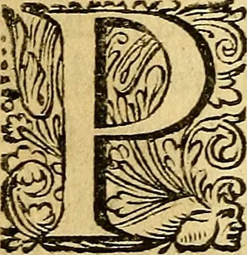 An illustration from Historia Gotthorum, Vandalorum, & Langobardorum, 1655, leaf 387