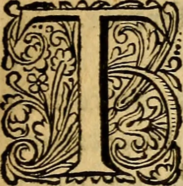 An illustration from Historia Gotthorum, Vandalorum, & Langobardorum, 1655, leaf 684