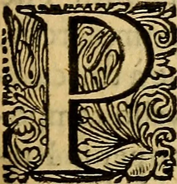 An illustration from Historia Gotthorum, Vandalorum, & Langobardorum, 1655, leaf 694