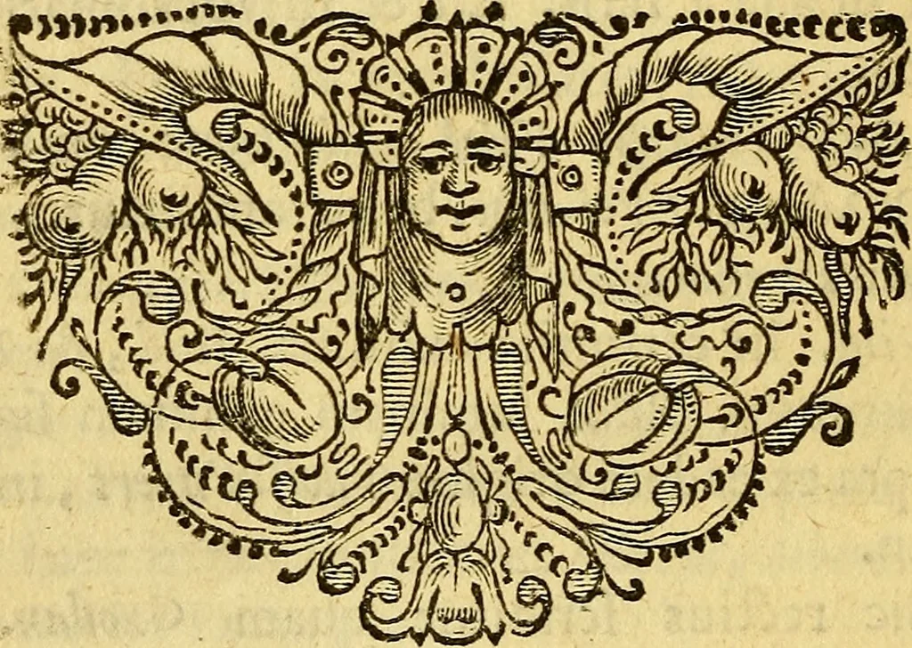 An illustration from Historia Gotthorum, Vandalorum, & Langobardorum, 1655, leaf 769