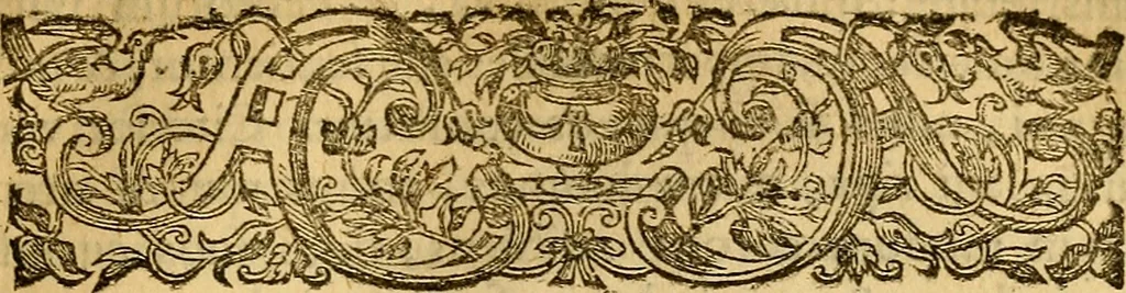 An illustration from Historia Gotthorum, Vandalorum, & Langobardorum, 1655, leaf 772
