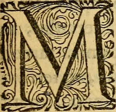An illustration from Historia Gotthorum, Vandalorum, & Langobardorum, 1655, leaf 772