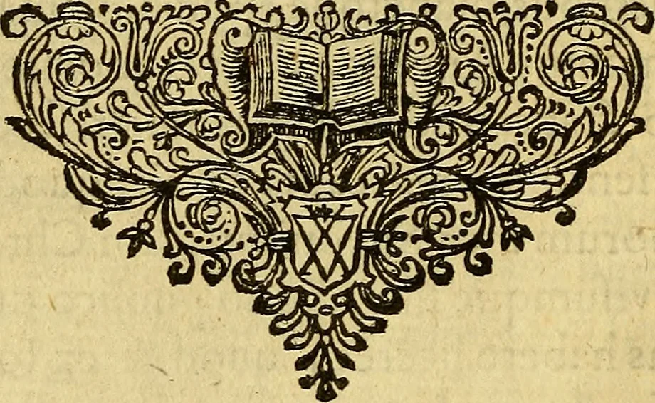 An illustration from Historia Gotthorum, Vandalorum, & Langobardorum, 1655, leaf 87