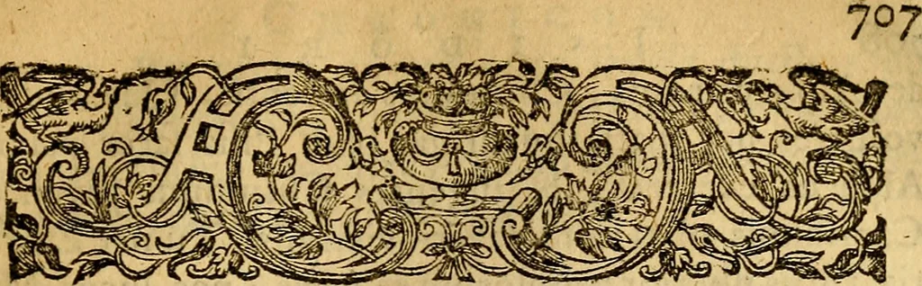 An illustration from Historia Gotthorum, Vandalorum, & Langobardorum, 1655, leaf 872