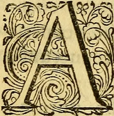 An illustration from Historia Gotthorum, Vandalorum, & Langobardorum, 1655, leaf 897
