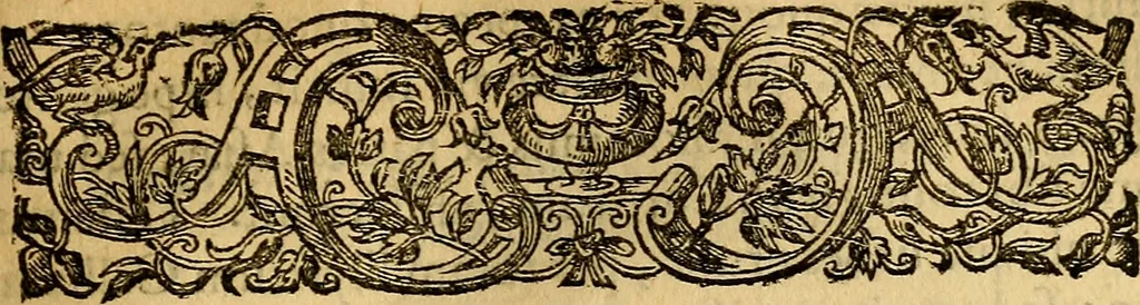An illustration from Historia Gotthorum, Vandalorum, & Langobardorum, 1655, leaf 908