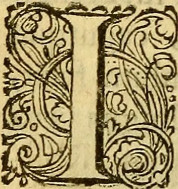 An illustration from Historia Gotthorum, Vandalorum, & Langobardorum, 1655, leaf 939