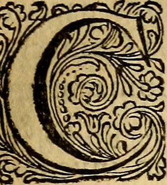 An illustration from Historia Gotthorum, Vandalorum, & Langobardorum, 1655, leaf 992