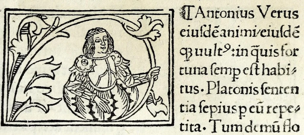 An illustration from Historia illvst. Romanorvm a Iano vsq. ad captam a Gotthis vrbem, 1510, leaf 61