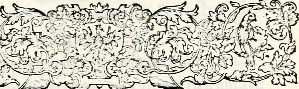 An illustration from Historia insignium illustrium sev Operis heraldici pars specialis : continens delineationem insignium plerorumque regum, ducum principum, comitum & baronum in cultiori Europa, cum explicatione singularum tesserarum, & multis ad familiarum decora titulos atque jura spectantibus, nec non tabulis aeneis scuta galeasq : in opere explicata obtutui exponentibus & indicibus necessariis, 1680, leaf 10