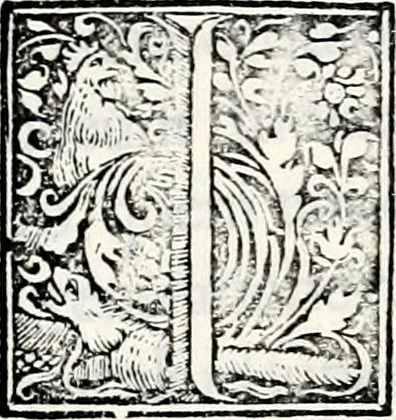 An illustration from Historia insignium illustrium sev Operis heraldici pars specialis : continens delineationem insignium plerorumque regum, ducum principum, comitum & baronum in cultiori Europa, cum explicatione singularum tesserarum, & multis ad familiarum decora titulos atque jura spectantibus, nec non tabulis aeneis scuta galeasq : in opere explicata obtutui exponentibus & indicibus necessariis, 1680, leaf 10