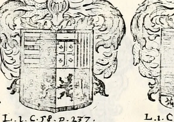 An illustration from Historia insignium illustrium sev Operis heraldici pars specialis : continens delineationem insignium plerorumque regum, ducum principum, comitum & baronum in cultiori Europa, cum explicatione singularum tesserarum, & multis ad familiarum decora titulos atque jura spectantibus, nec non tabulis aeneis scuta galeasq : in opere explicata obtutui exponentibus & indicibus necessariis, 1680, leaf 46