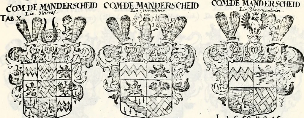 An illustration from Historia insignium illustrium sev Operis heraldici pars specialis : continens delineationem insignium plerorumque regum, ducum principum, comitum & baronum in cultiori Europa, cum explicatione singularum tesserarum, & multis ad familiarum decora titulos atque jura spectantibus, nec non tabulis aeneis scuta galeasq : in opere explicata obtutui exponentibus & indicibus necessariis, 1680, leaf 48