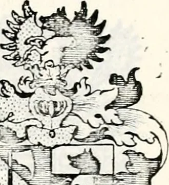An illustration from Historia insignium illustrium sev Operis heraldici pars specialis : continens delineationem insignium plerorumque regum, ducum principum, comitum & baronum in cultiori Europa, cum explicatione singularum tesserarum, & multis ad familiarum decora titulos atque jura spectantibus, nec non tabulis aeneis scuta galeasq : in opere explicata obtutui exponentibus & indicibus necessariis, 1680, leaf 62