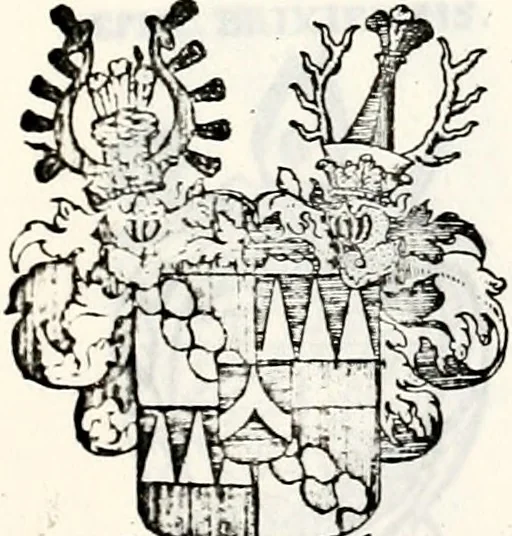 An illustration from Historia insignium illustrium sev Operis heraldici pars specialis : continens delineationem insignium plerorumque regum, ducum principum, comitum & baronum in cultiori Europa, cum explicatione singularum tesserarum, & multis ad familiarum decora titulos atque jura spectantibus, nec non tabulis aeneis scuta galeasq : in opere explicata obtutui exponentibus & indicibus necessariis, 1680, leaf 78
